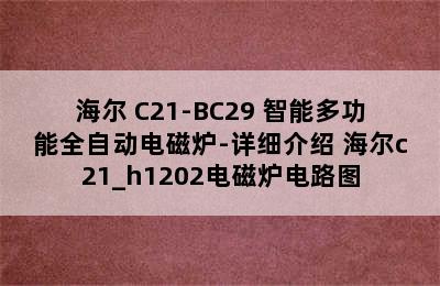 Haier/海尔 C21-BC29 智能多功能全自动电磁炉-详细介绍 海尔c21_h1202电磁炉电路图